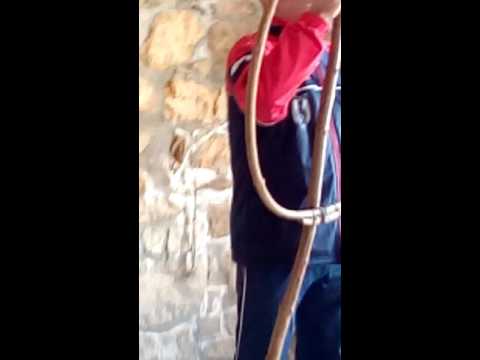 Confezione del Majo a San Giovanni Lipioni Abruzzo