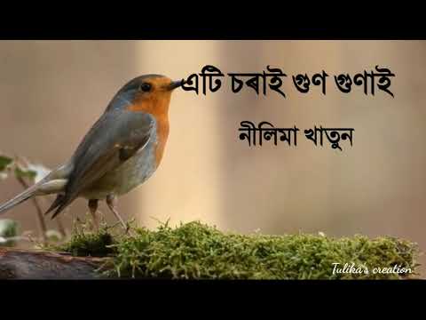 এটি চৰাই গুণ গুণাই||Nilima khatun||Ati Sorai Gun Gunai Lyrics