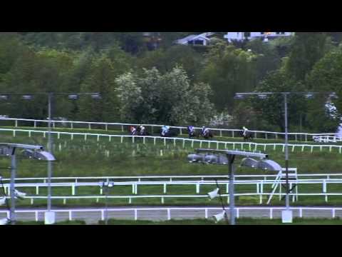 2015.05.28 Norsk 2000 Guineas - Brownie