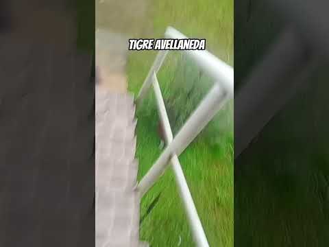 #Argentina #Buenosaires #tigre #eltomi17