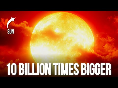 The Largest Star Ever Discovered in the Universe