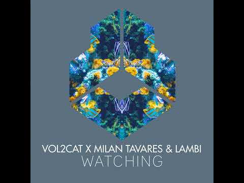 Milan Tavares And Tambi - Watching (Extended Mix (MoSeS_exe (TRANCEMYDELIVRANCE)))