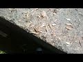 Howtobasic 9 Part
