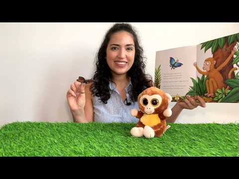 Monkey Puzzle - by Julia Donaldson