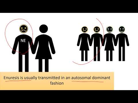 Nocturnal Enuresis (Bedwetting)