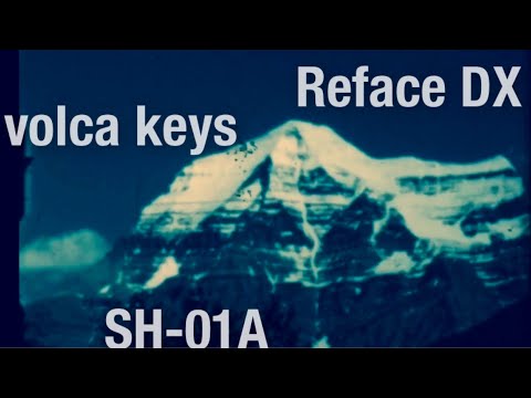 36. Roland SH-01A Yamaha Reface DX & Korg volca keys dawless 10/9/2020
