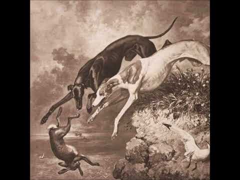 Dominus Soul - Let The Hunt Begin