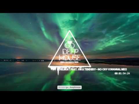 RoelBeat feat. Vika Tendery - No Cry (Original Mix)