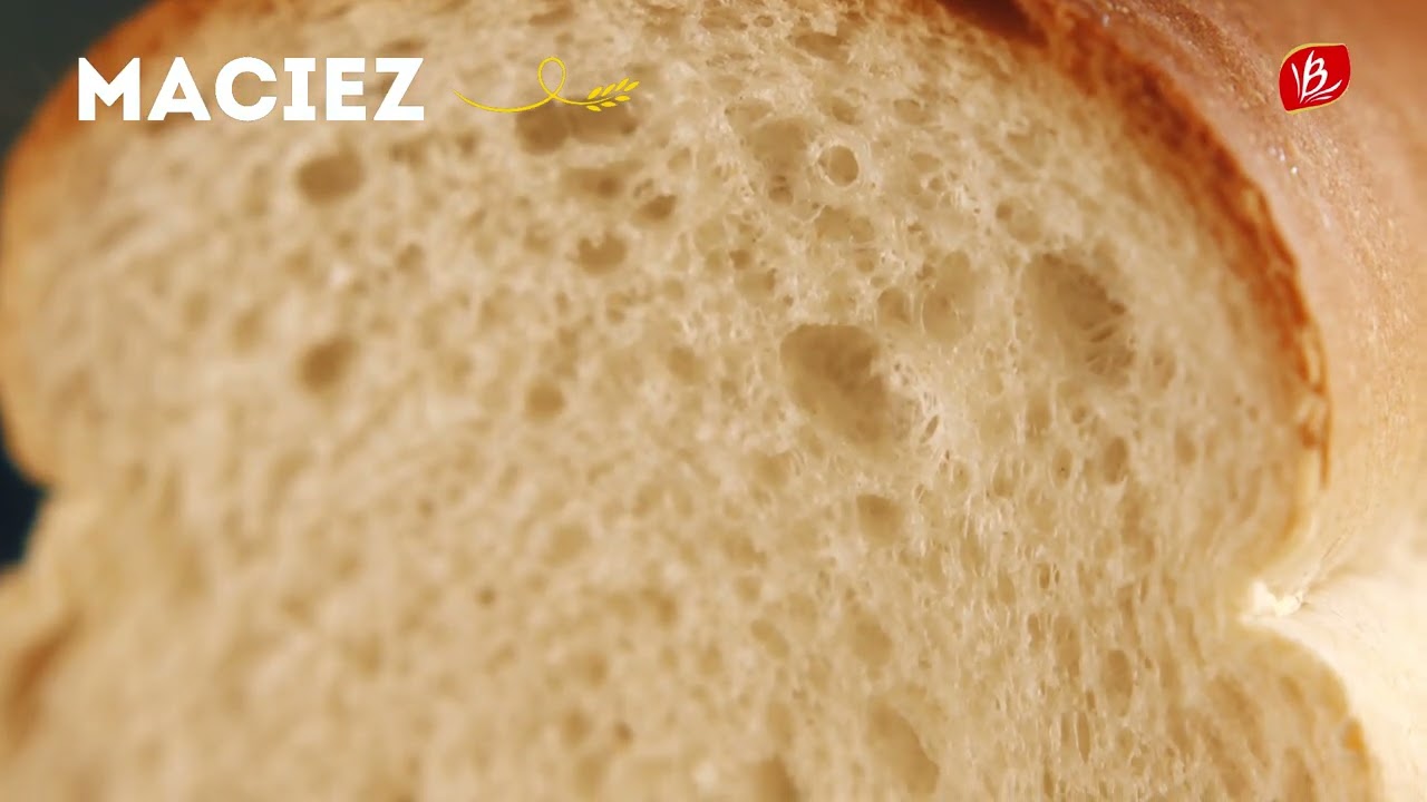 BAUDUCCO PÃES