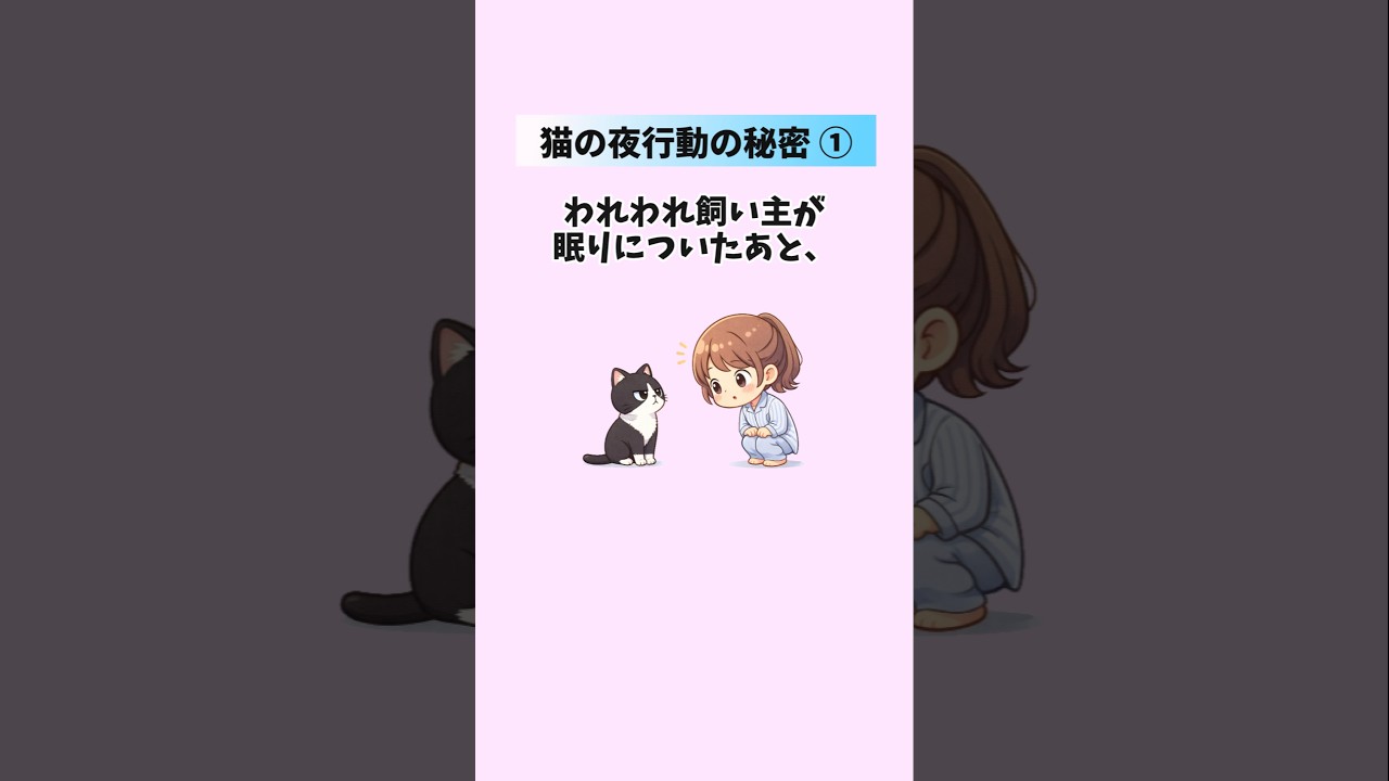 【猫の行動😻】あなたが寝たあと猫がひっそり行っている5つの秘密① #猫 #雑学 #豆知識 #トリビア 音声「VOICEVOX:ずんだもん」さん