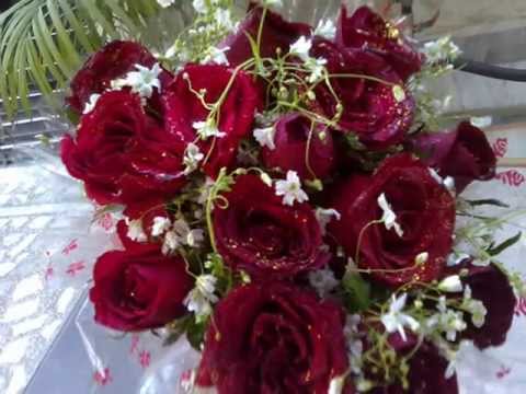 Chhuimui Si Tum Lagti Ho