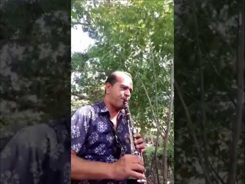 Shaban Cela  Manaesi  Live