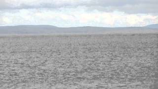 preview picture of video '2014 Patagonia   Estrecho de Magallanes Puerto Bulnes'