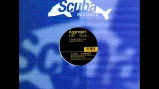 Aggregat - Tribal
