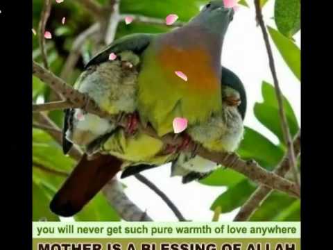 abi naeem I love u mother