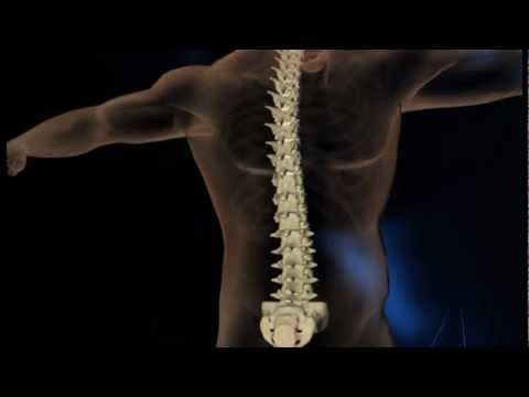 Seltene Erkrankung des Kniegelenks Anatomische Zone zur Behandlung von Rückenschmerzen