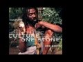 CULTURE - Mr. Sluggard (One Stone)