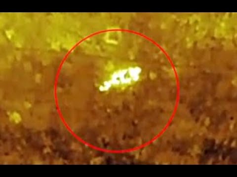 Police drone find missing OAP lost in woodland in Wiltshire