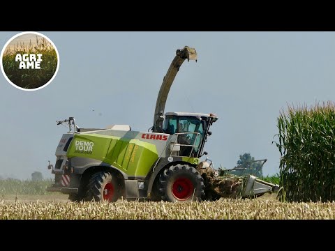 CORN SILAGE 2022 | Claas Jaguar DEMO TOUR | 9x trailers (Fendt, John Deere, Claas) | Gruppo PEA