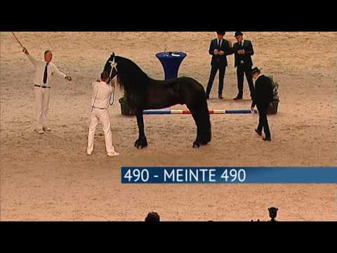 Hengstenkeuring 2017 – Rubriek 07