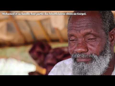 SECURALIM : Cultiver l’avenir de l’agro-pastoralisme en Mauritanie