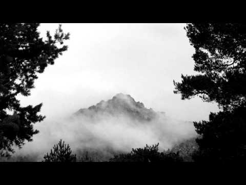 Niche - Uaral