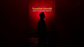 Download lagu チームラボ茨城：棚田の隠れた痕跡 #travelvlog #japan mp3