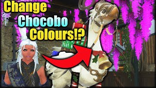 Super EASY to change chocobo colors! FFXIV Chocobo Guide