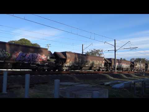 TT115 / TT118 / TT121 with PN loaded coal CA96 -  3/7/20