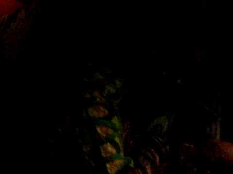 king shiloh meets Afrikan Simba irie vibes roots festival 2009 part 2