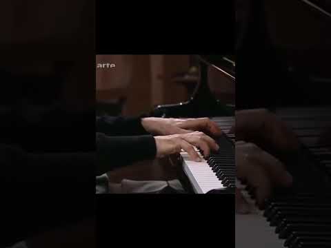 « Sheep may safely graze » is an aria from J.S. Bach’s Hunting Cantata BWV 208. This pastoral melody