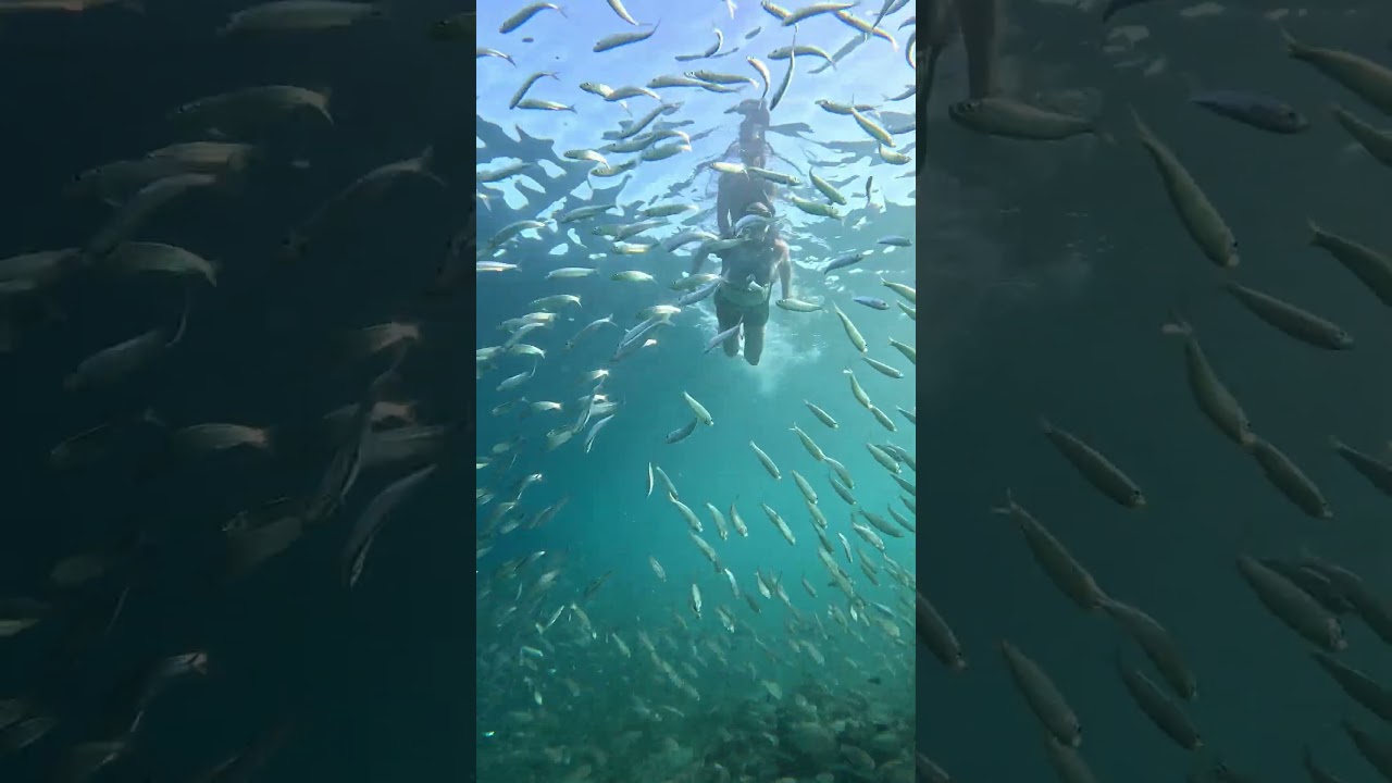 YouTube Short thumbnail