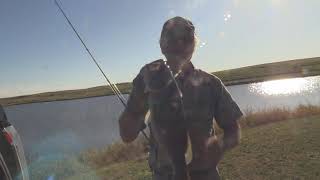 Fishing a QC Lure Worx Tube Texas Rigged
