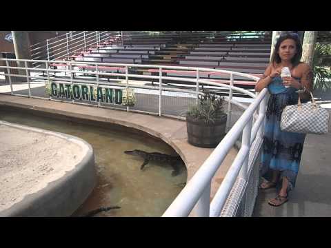 Day 9 - Summer Cruise - Orlando, Florida