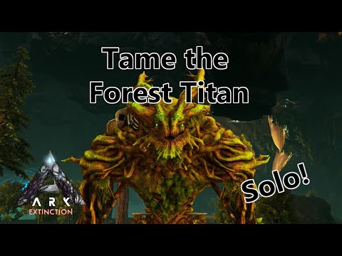 How To Tame The Forest Titan SOLO!