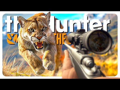 Wiping out EVERY cougar I see (they call me the puma pounder) | theHunter: Call of the Wild