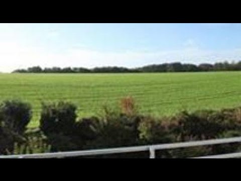 Sonniges Appartement mit Balkon! Singletraum!