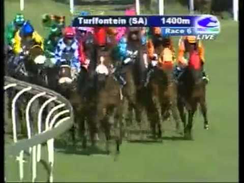 Rock Of Arts - 2nd win - Sean Veale - Racing Association