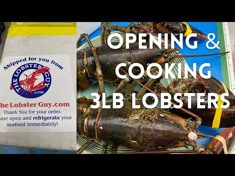 Opening & Cooking Lobster From The Lobster Guy - Review & directions