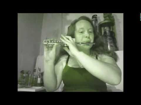 Wiz Khalifa-See You Again (on piccolo)