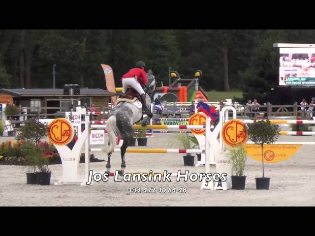 The half-brother of the mother of this frozen embryo is the Approved CSI 1.60 jumping Stallion Virtuose d hyrencourt with rider Jos Lansink.