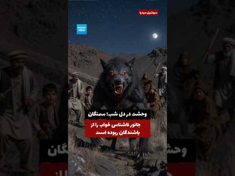 Predatory Animal Attacks Continue in Dara-e Suf Paeen, Samangan; Local Sources Report Two More Injured video thumbnail