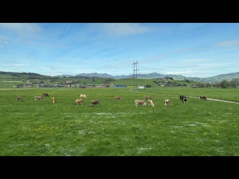 IR35 Mitfahrt: Siebnen-Wangen - Ziegelbrücke (05.04.2024)