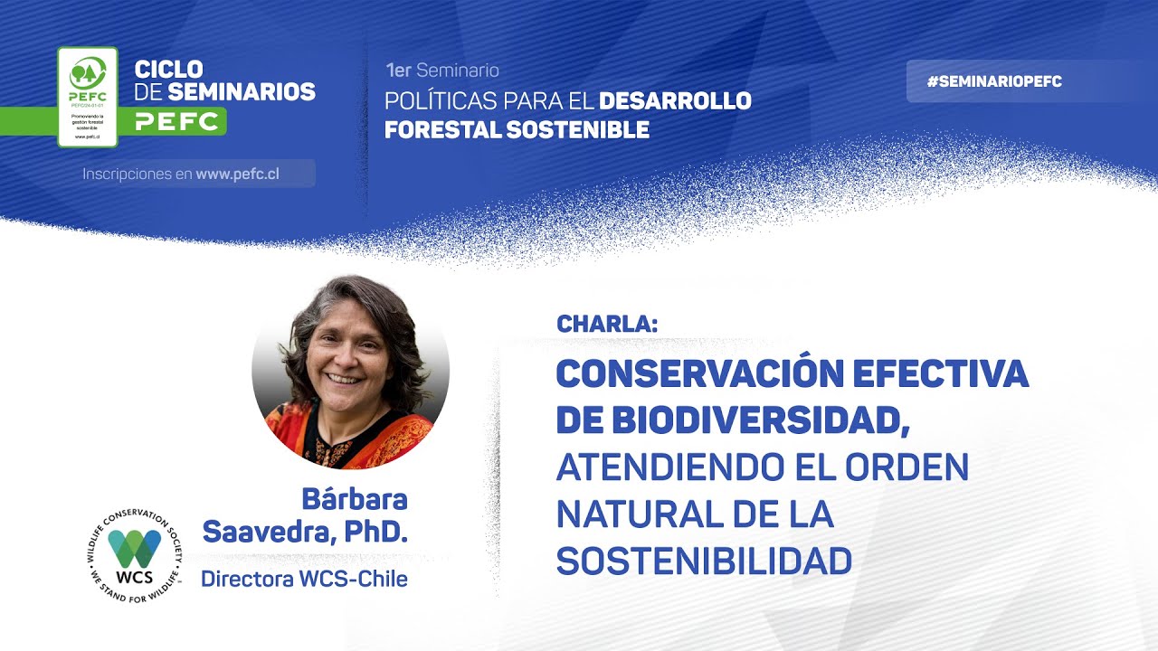 Charla Barbara Saavedra, 1er Seminario PEFC Chile 2024