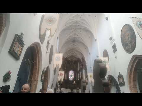 Prezentacja organów w Archikatedrze Oliwskiej