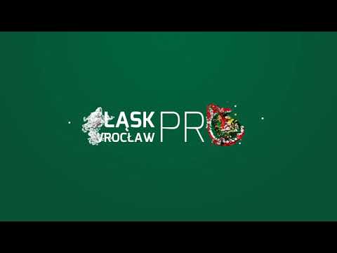 Tydzień 9 - Najładniejsze Interwencje, Sezon Jesień 2018, Śląsk Wrocław PRO