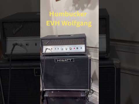 Univox Vintage Guitar Amplifier U-235-PB image 10
