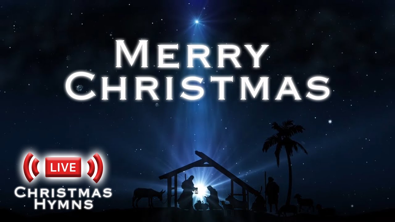 Christmas Hymns | Relax & Worship Jesus' Birth! | Merry Christmas!