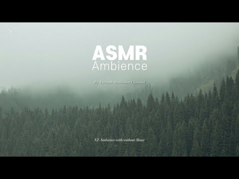 숲과 천둥과 비 ASMR