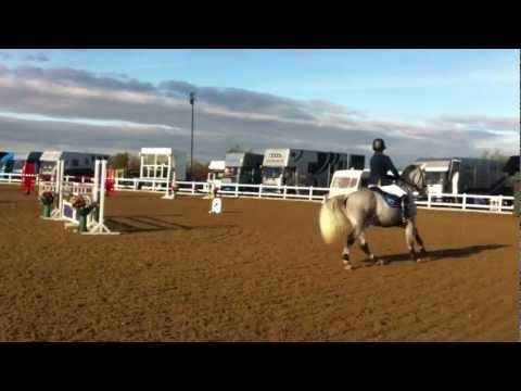 Lightening McQueen, Arena UK, Foxhunter Jump Off, 30/10/12